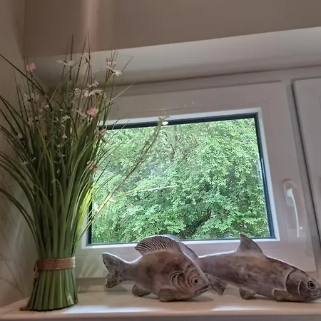 Auszeit Foehr, Whg 11 Appartement *